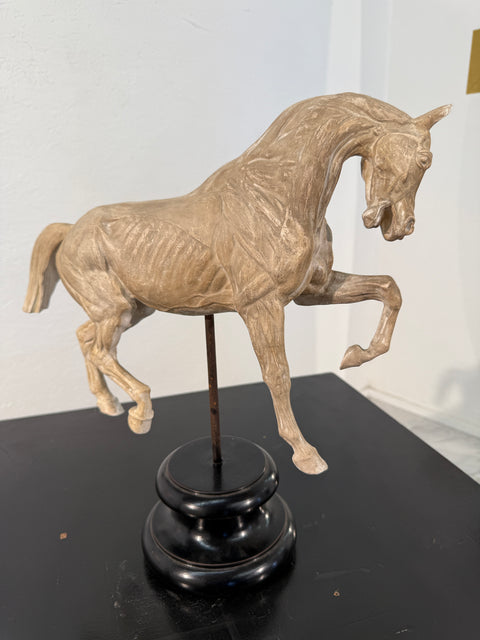 Hand-Carved Anatomical Horse Model on Stand
