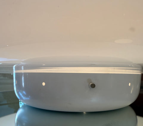 "Magnolia" Opaline Lamp by Sergio Mazza for Quattrifolio, 1970s