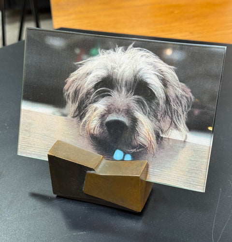 Mid-Century Modern Bronze and Glass Picture Frame By Esa Fedrigolli