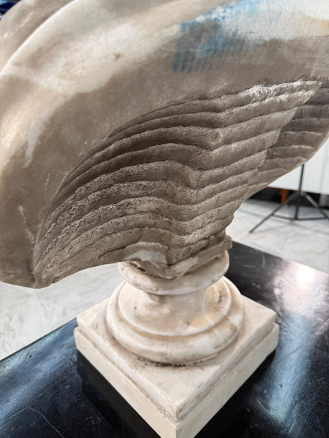 Two Classical White Marble Bust of a Ladys, Italy 1950s