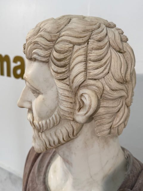 Two-Tone Marble Bust of a Roman Nobleman