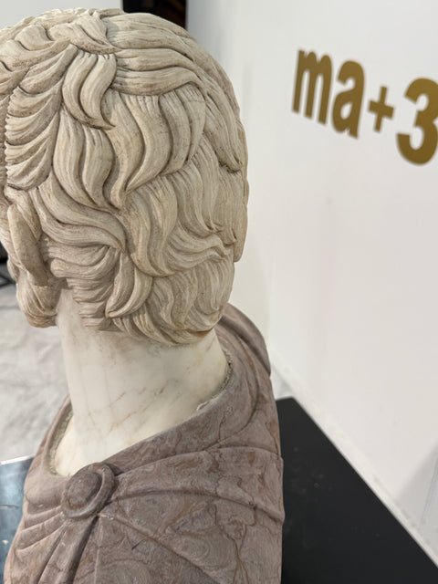 Two-Tone Marble Bust of a Roman Nobleman