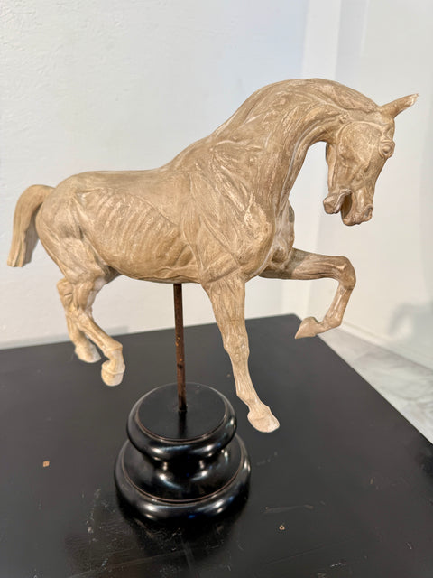 Hand-Carved Anatomical Horse Model on Stand
