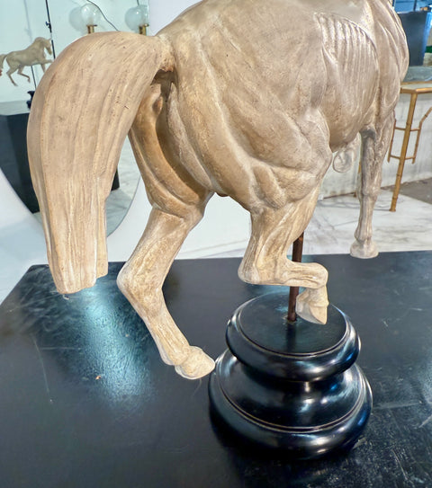 Hand-Carved Anatomical Horse Model on Stand