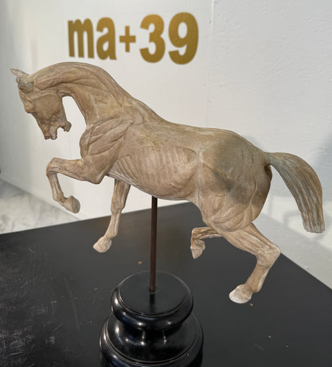 Hand-Carved Anatomical Horse Model on Stand