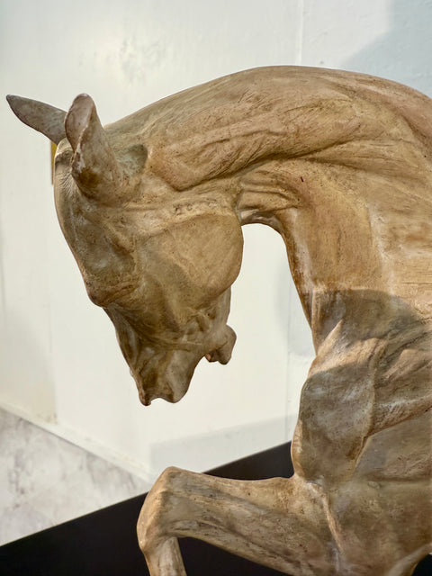 Hand-Carved Anatomical Horse Model on Stand
