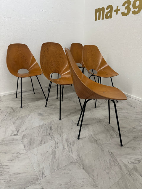 Set of Six Medea Chairs by Vittorio Nobili