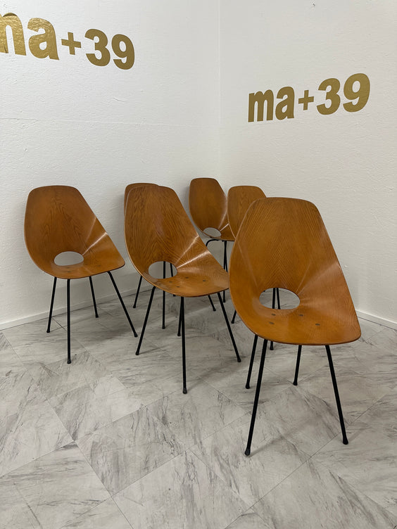 Set of Six Medea Chairs by Vittorio Nobili