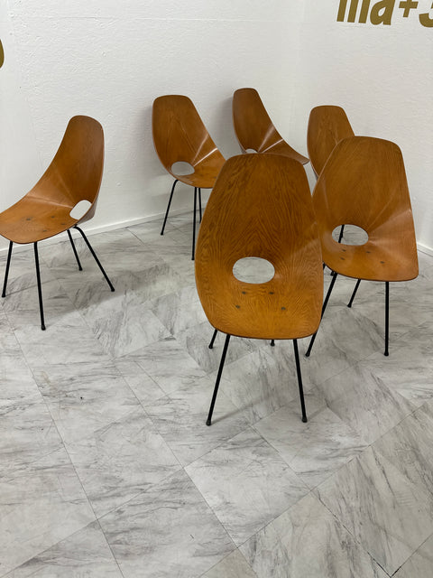 Set of Six Medea Chairs by Vittorio Nobili