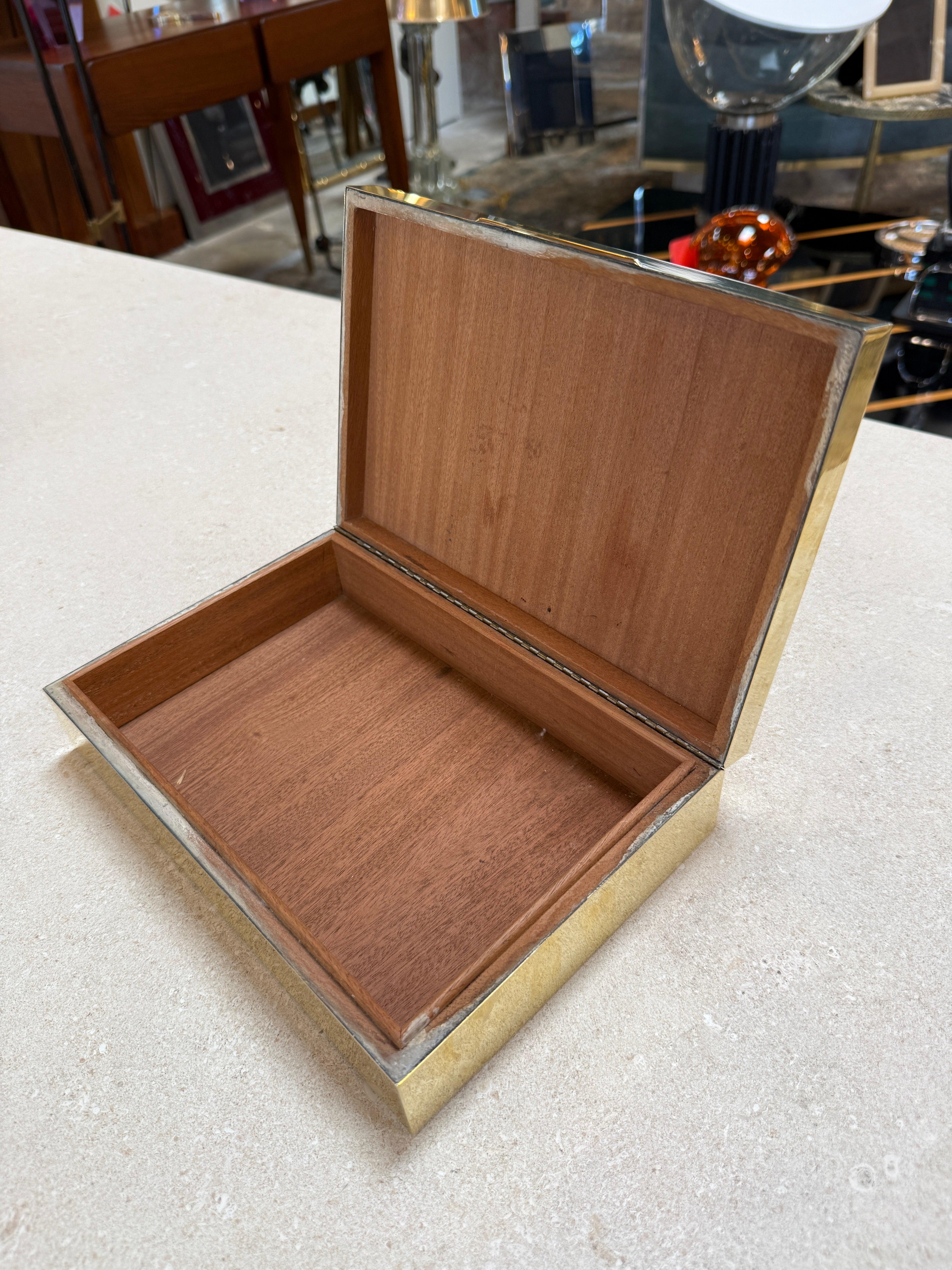 Italian Brass Box with Sculptural Snake Motif, Mid-Century