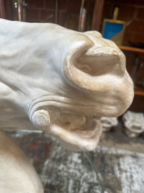 Equestrian Horse Head in plaster. Italy 80s