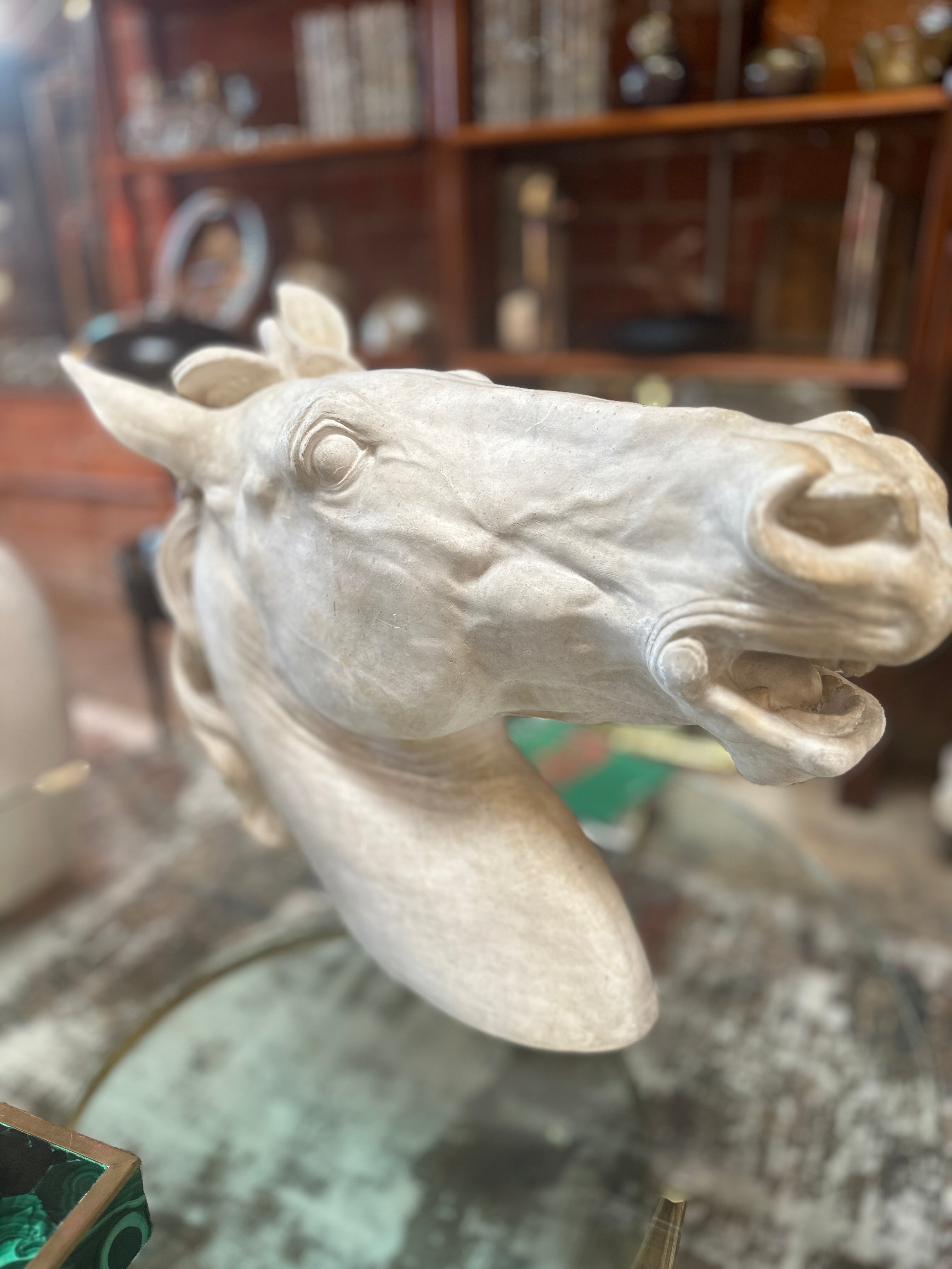 Equestrian Horse Head in plaster. Italy 80s