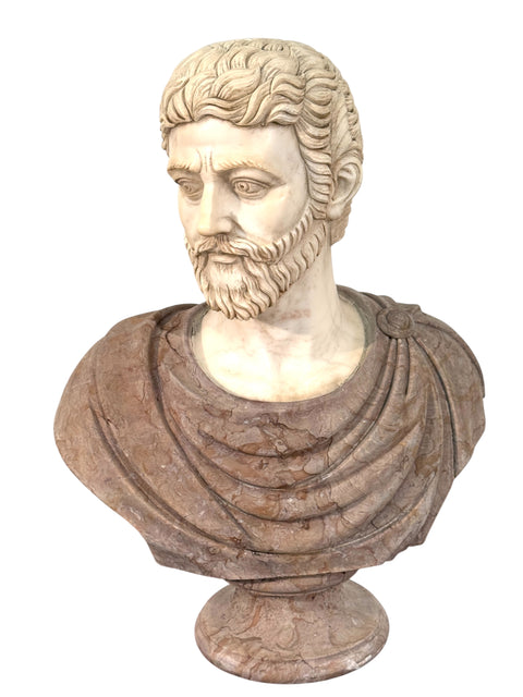 Two-Tone Marble Bust of a Roman Nobleman
