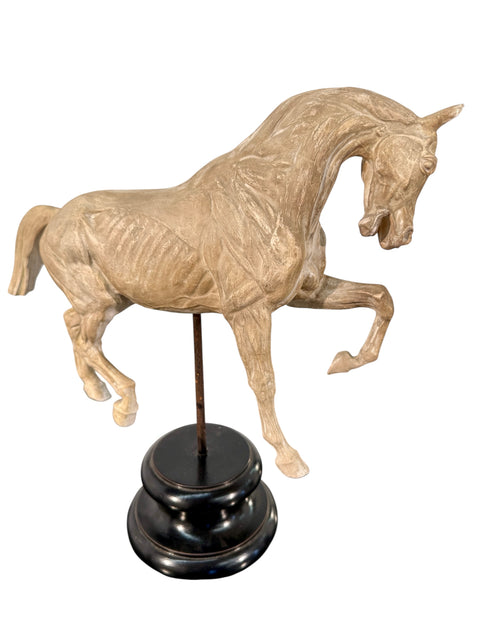 Hand-Carved Anatomical Horse Model on Stand